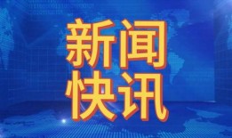 海南最新闻爆料,最新爆料揭示岛内热点事件内幕